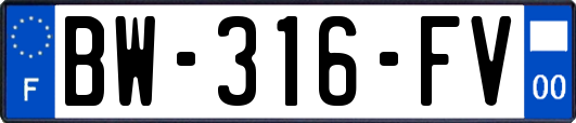 BW-316-FV