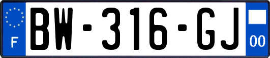 BW-316-GJ