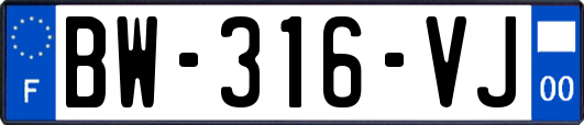 BW-316-VJ