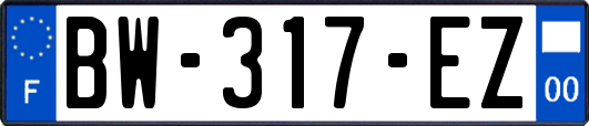 BW-317-EZ