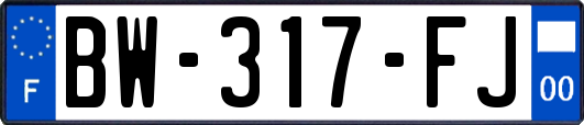 BW-317-FJ