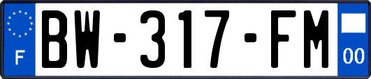 BW-317-FM