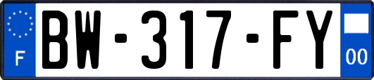 BW-317-FY