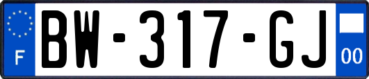 BW-317-GJ