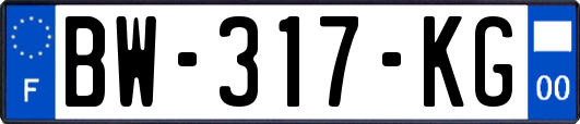 BW-317-KG