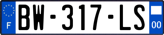 BW-317-LS