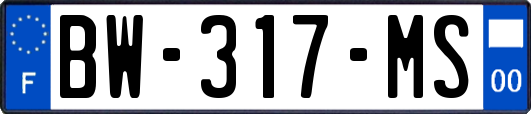 BW-317-MS