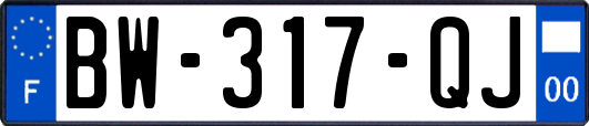 BW-317-QJ