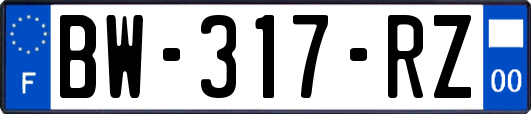 BW-317-RZ