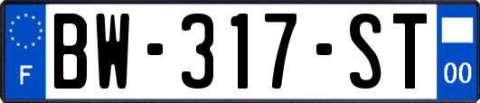 BW-317-ST