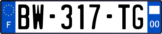 BW-317-TG