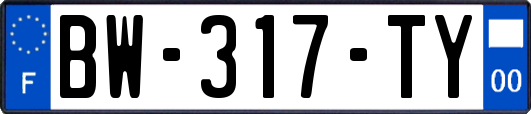 BW-317-TY