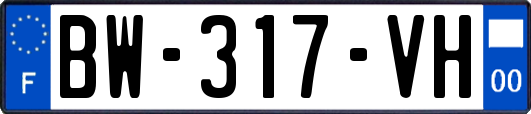 BW-317-VH