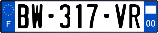 BW-317-VR