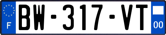 BW-317-VT
