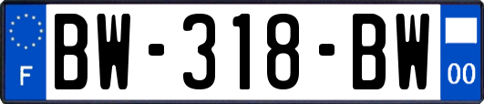 BW-318-BW