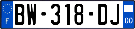 BW-318-DJ