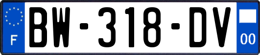 BW-318-DV