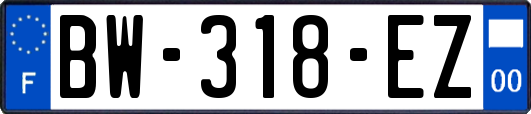 BW-318-EZ