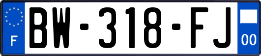 BW-318-FJ