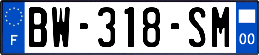 BW-318-SM