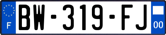 BW-319-FJ