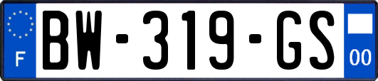 BW-319-GS