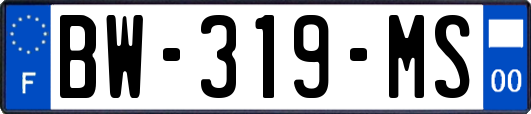 BW-319-MS