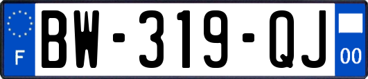BW-319-QJ