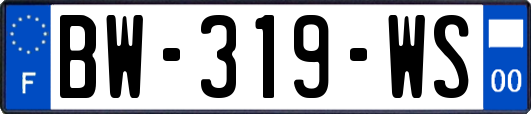 BW-319-WS
