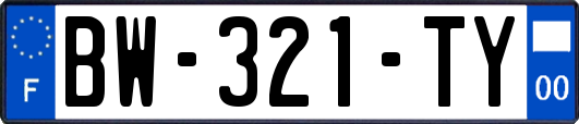 BW-321-TY