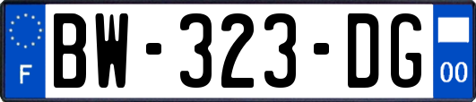 BW-323-DG