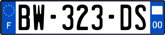 BW-323-DS