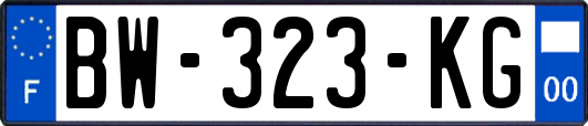 BW-323-KG