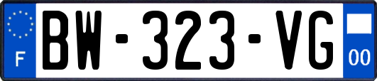 BW-323-VG