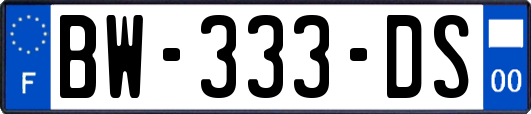 BW-333-DS