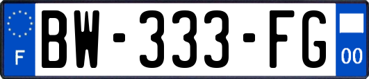 BW-333-FG