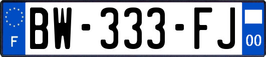 BW-333-FJ