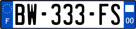 BW-333-FS