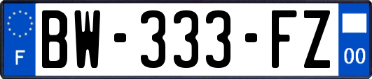 BW-333-FZ