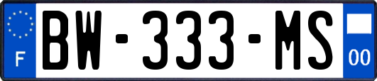 BW-333-MS