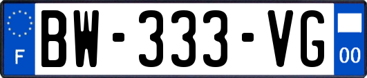 BW-333-VG