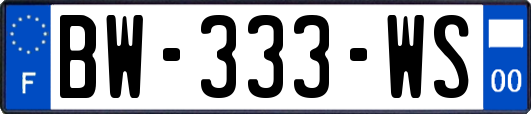 BW-333-WS