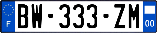 BW-333-ZM