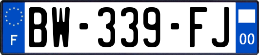 BW-339-FJ