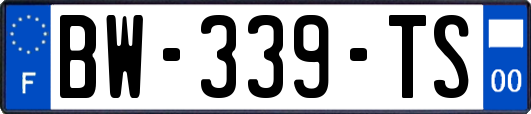BW-339-TS