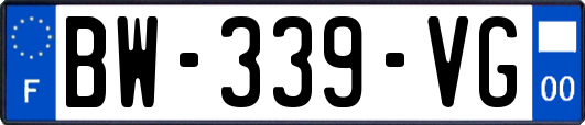 BW-339-VG