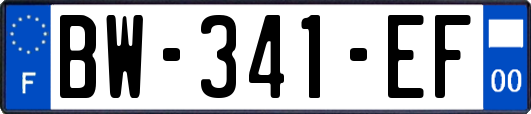 BW-341-EF