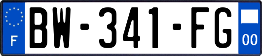 BW-341-FG