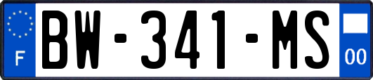 BW-341-MS
